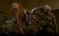 Phoenix Point Review