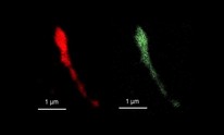 Researchers tweak a virus into building phase-change memories