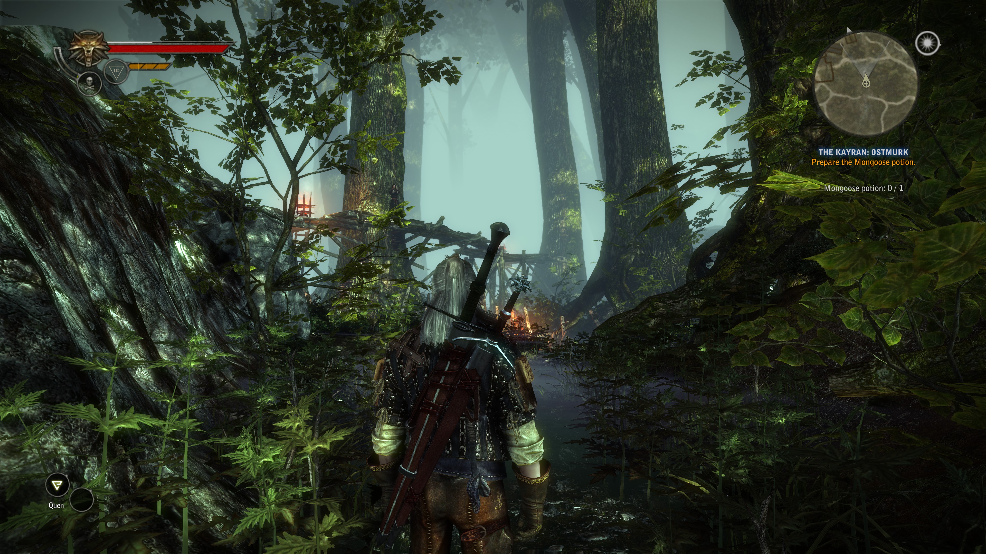 starting the Witcher 2: EE and got this graphics glitch, anybody